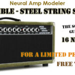 DUMBLE Steel String Singer (clone)